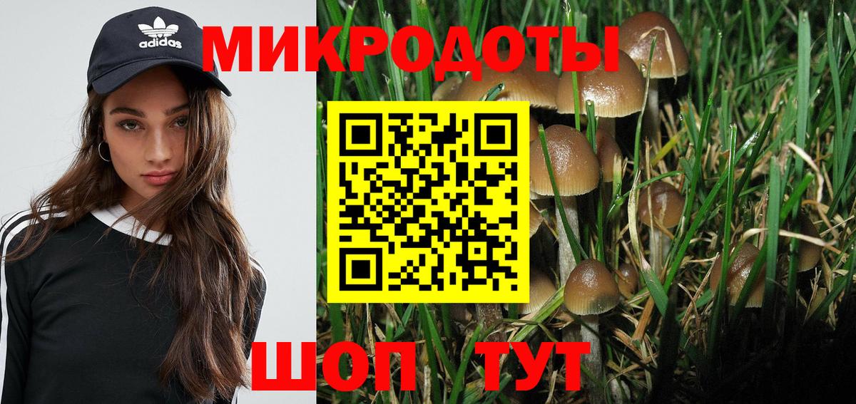 Галлюциногенные грибы мухоморы  Псилоцибиновые грибы ЛСД  наркотики  Россошь  Вход с VPN 