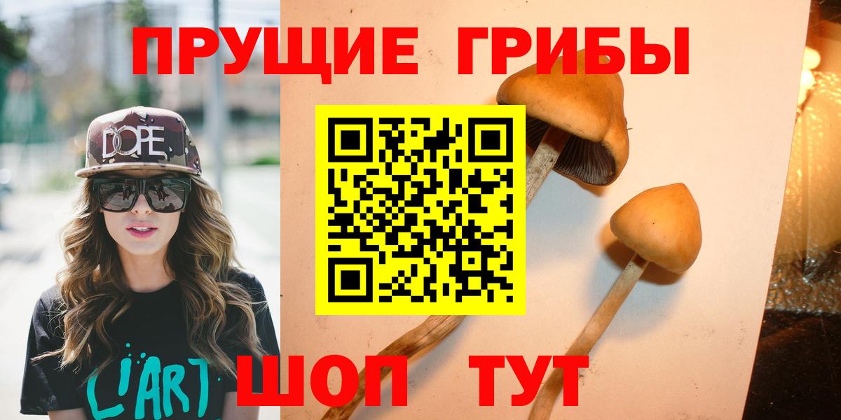Галлюциногенные грибы прущие грибы Россошь